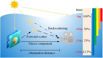 Underwater image restoration via attenuated incident optical model and background segmentation